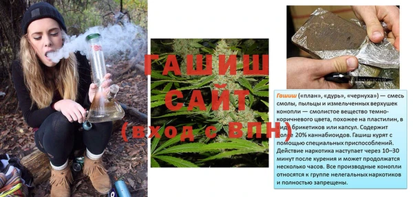 гашик Алексин
