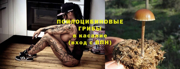ПСИЛОЦИБИНОВЫЕ ГРИБЫ Алзамай