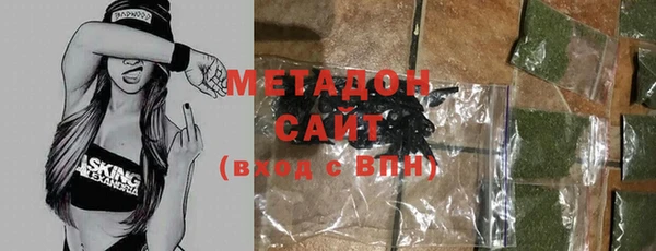 гашик Алексин