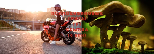 хмурый Абдулино